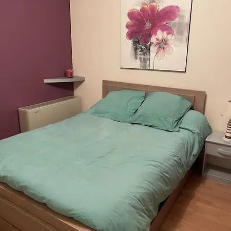 Apartment Jc Appart Duplex Terrasse Centre Ville Parking *